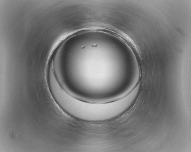 X0000116291472200911301409