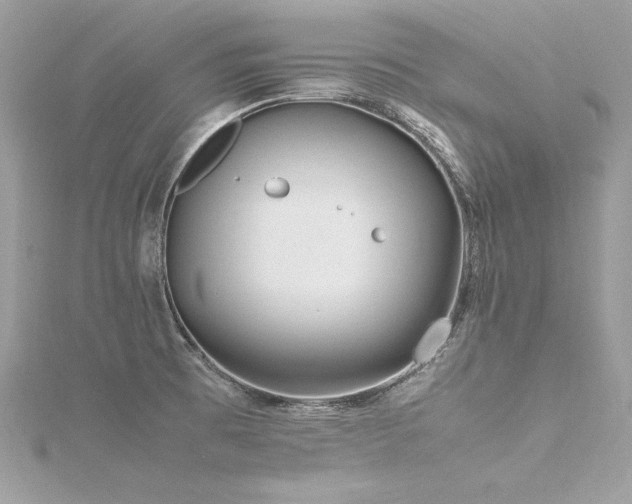 X0000116291473200911301409