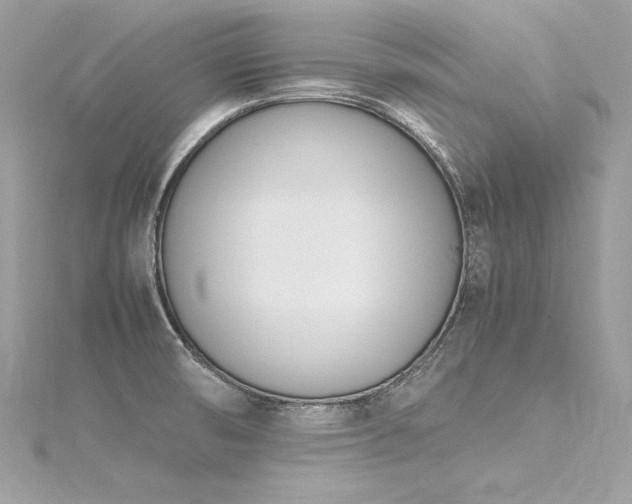 X0000116291474200911301409