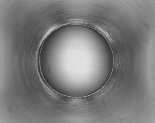 X0000116291475200911301409