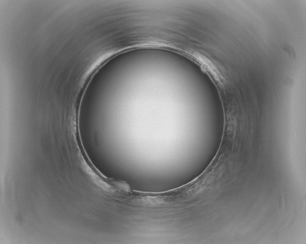 X0000116291476200911301409