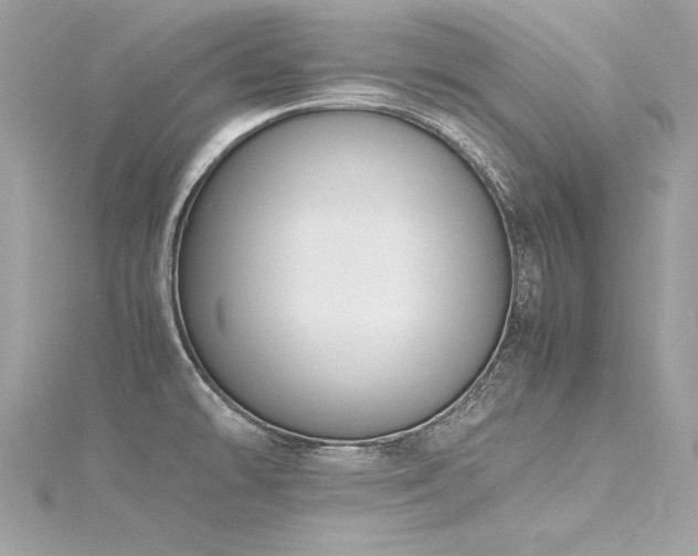 X0000116291478200911301408