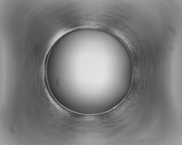 X0000116291479200911301408