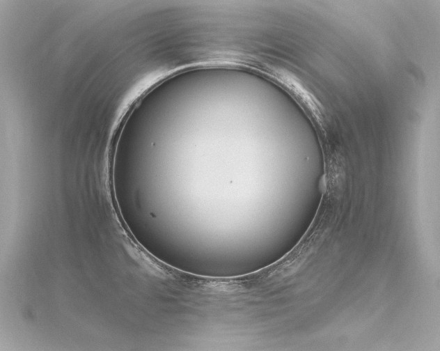 X0000116291480200911301408