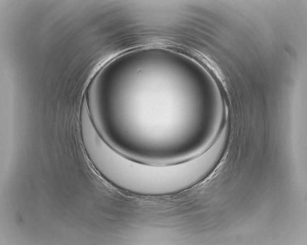 X0000116291481200911301408