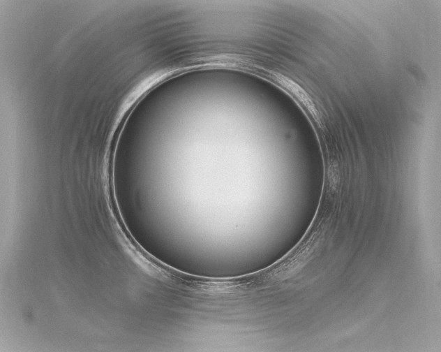 X0000116291482200911301408