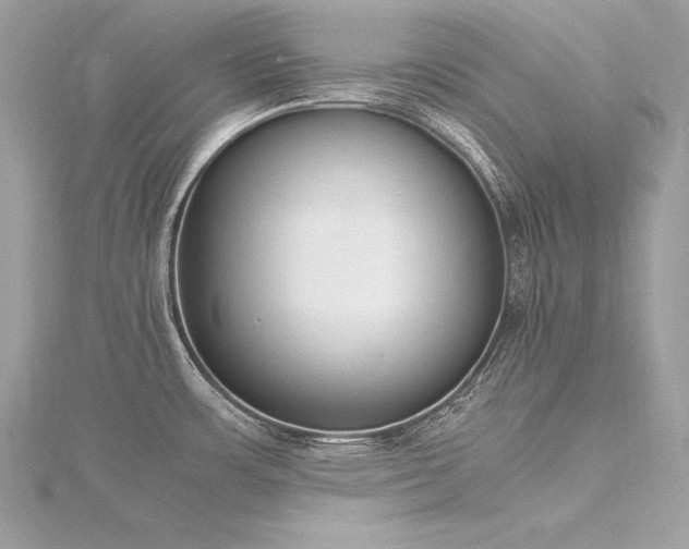 X0000116291483200911301408