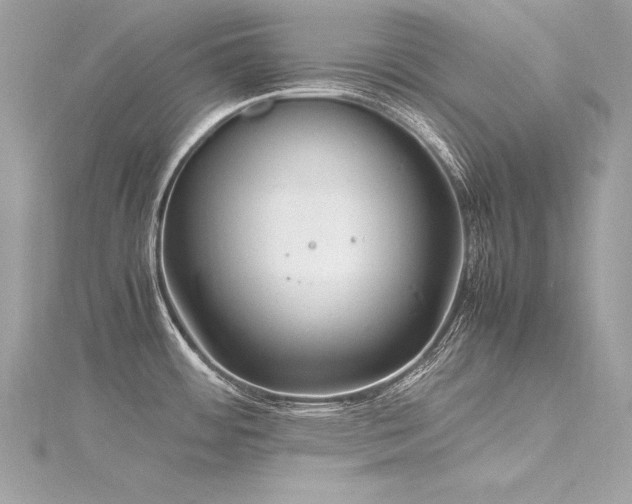 X0000116291484200911301408