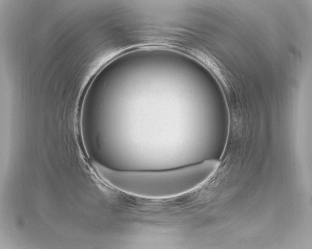 X0000116291485200911301408