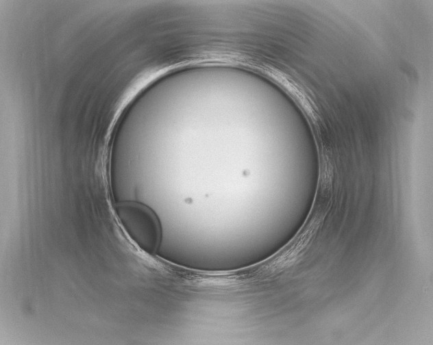 X0000116291486200911301408