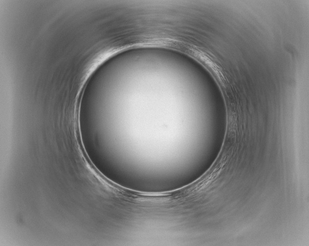 X0000116291487200911301408