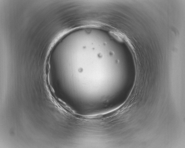 X0000116291488200911301408