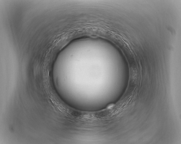 X0000116291489200911301408