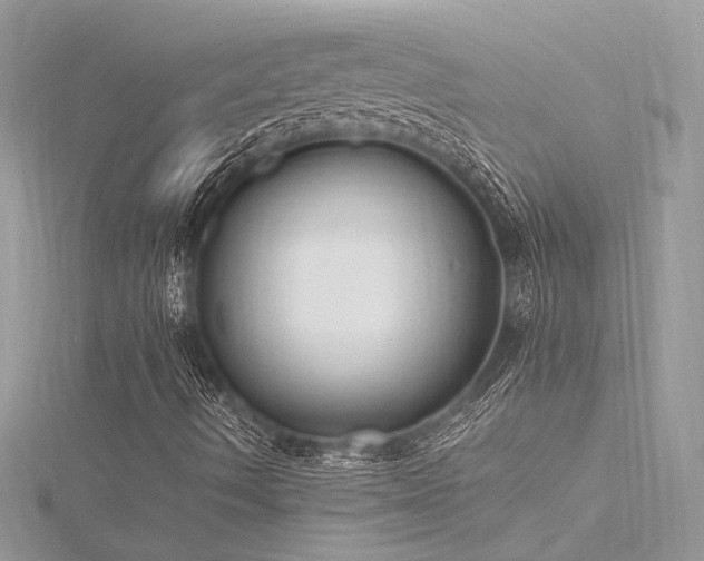 X0000116291490200911301408