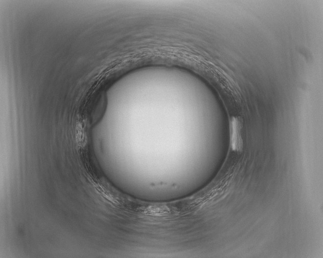 X0000116291491200911301408