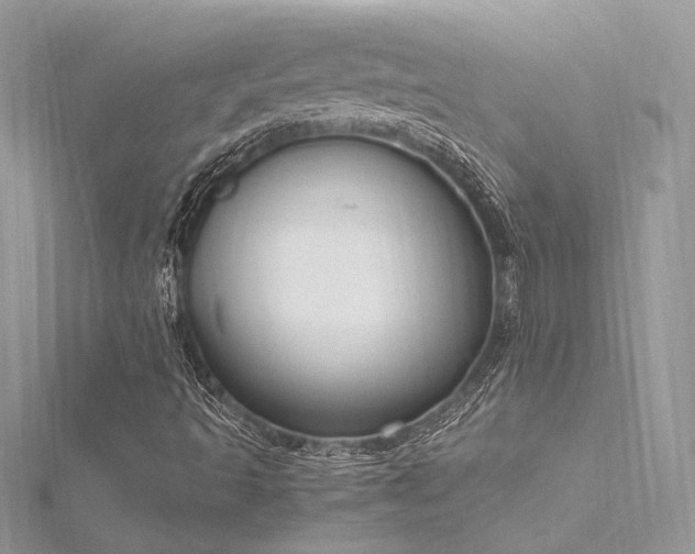 X0000116291493200911301408