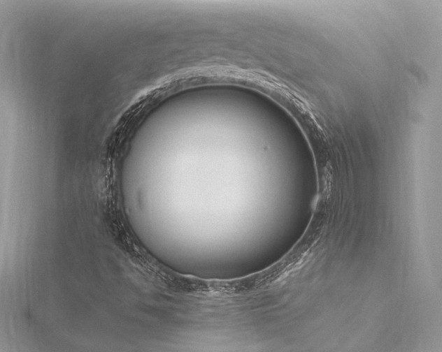 X0000116291494200911301408