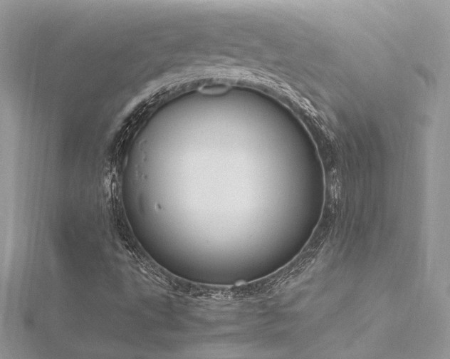 X0000116291495200911301408