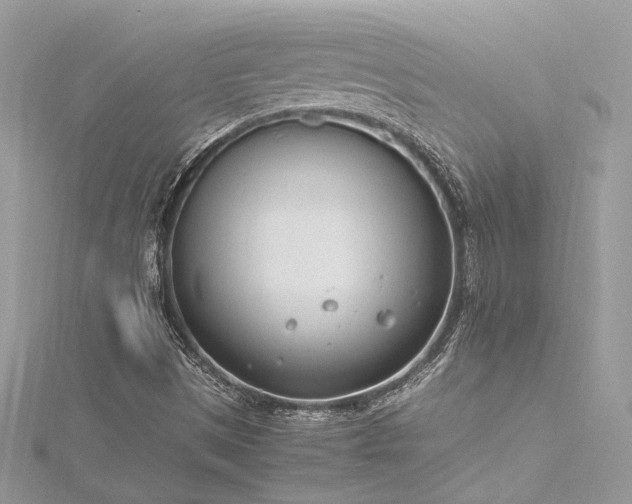 X0000116291497200911301408