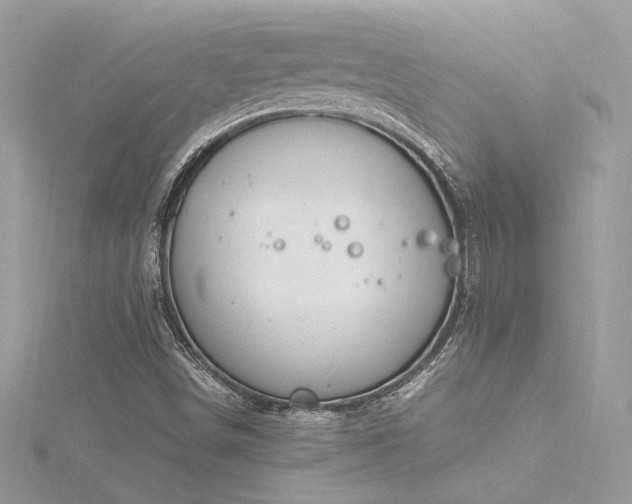 X0000116291498200911301408