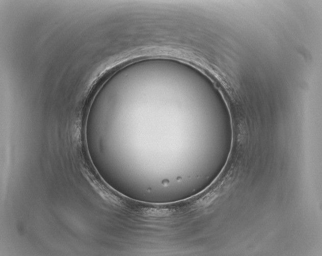 X0000116291499200911301408