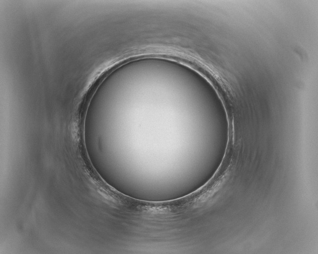 X0000116291501200911301408