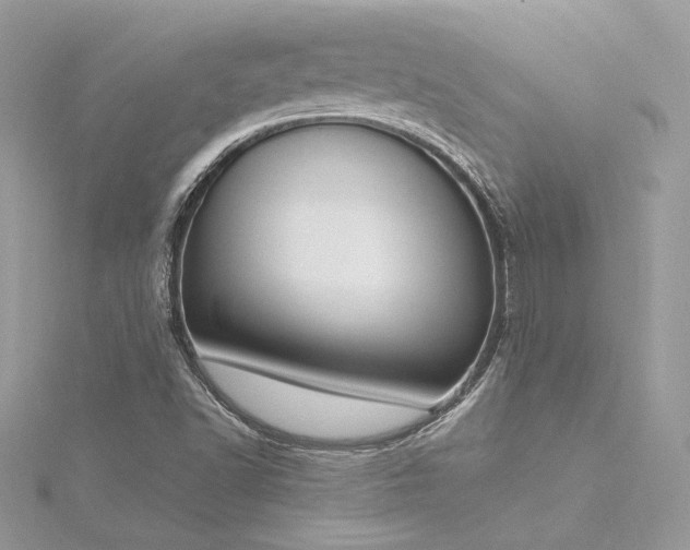 X0000116291502200911301408