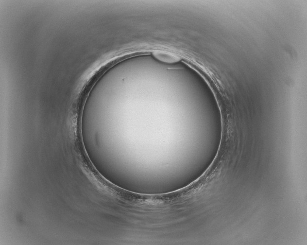 X0000116291503200911301408