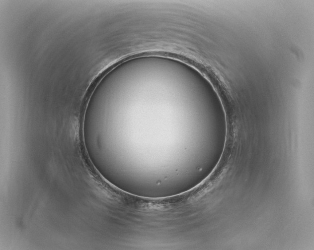 X0000116291505200911301408