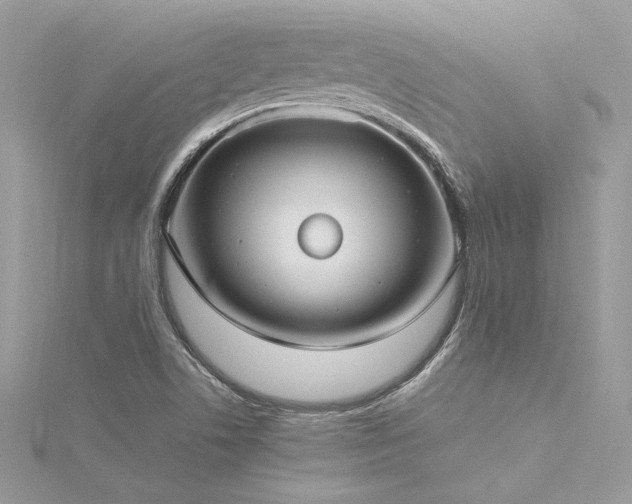 X0000116291506200911301408