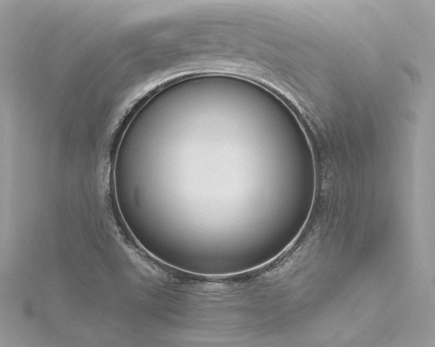 X0000116291507200911301408