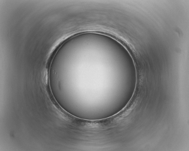 X0000116291509200911301408