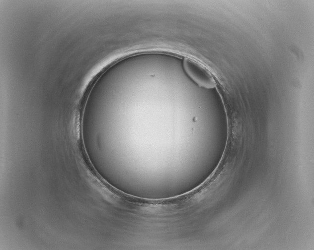 X0000116291510200911301408