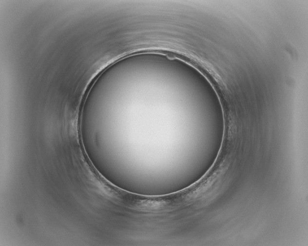 X0000116291513200911301408