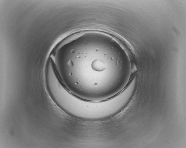 X0000116291514200911301408