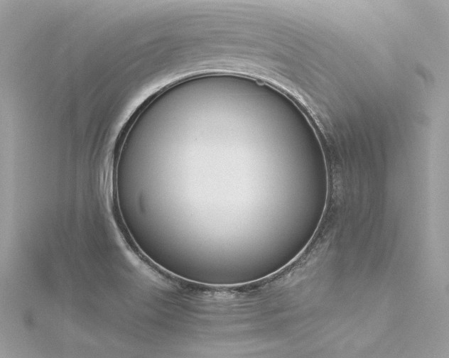 X0000116291515200911301408