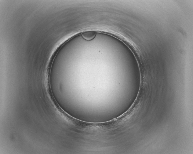 X0000116291517200911301408