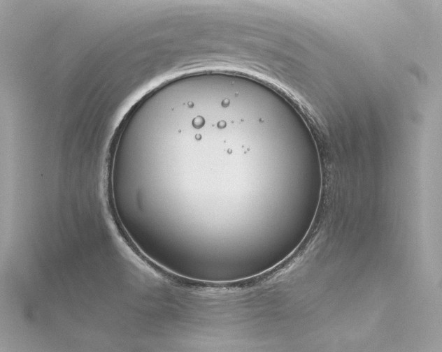 X0000116291518200911301408