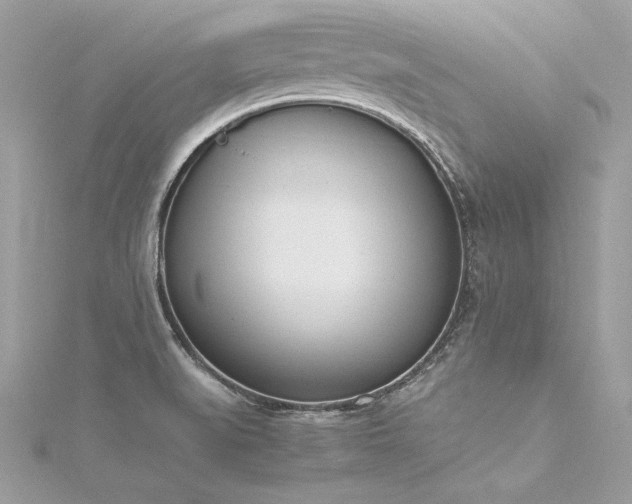 X0000116291519200911301408