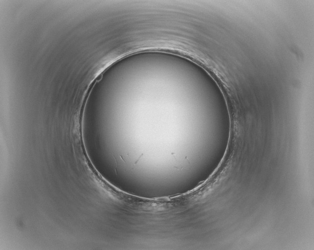 X0000116291521200911301408