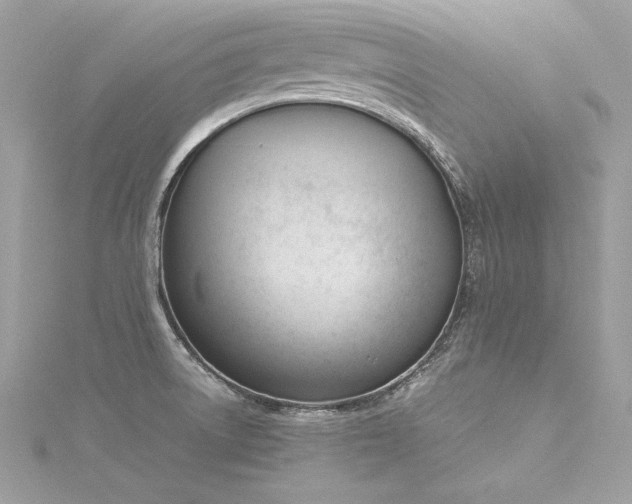 X0000116291522200911301408