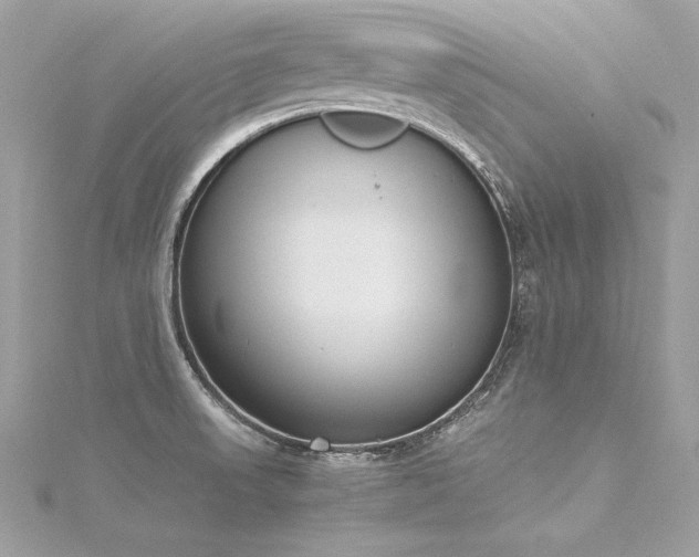 X0000116291523200911301408