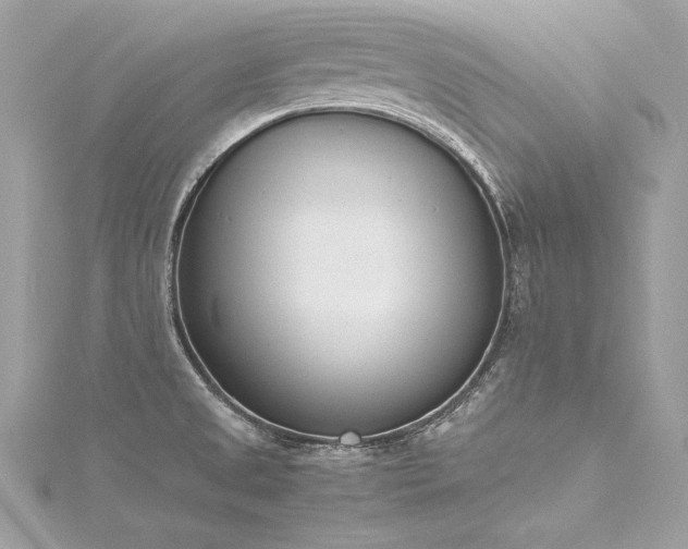 X0000116291525200911301408