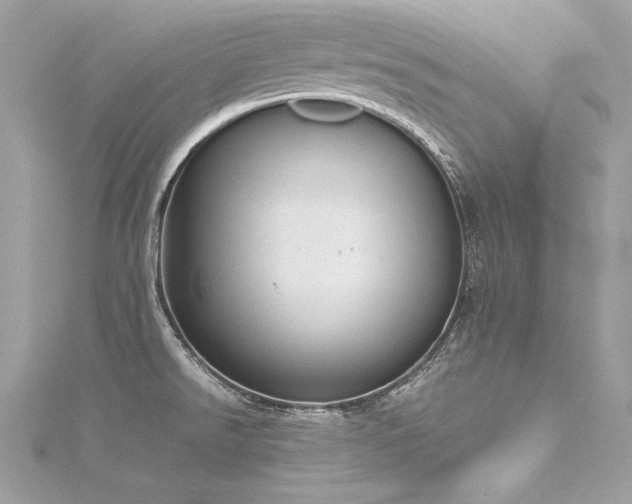 X0000116291526200911301408