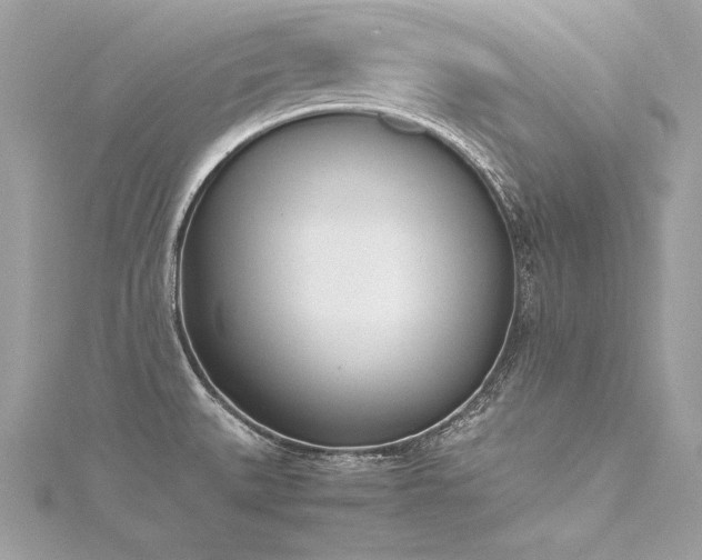 X0000116291527200911301408