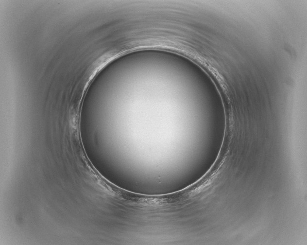 X0000116291529200911301408