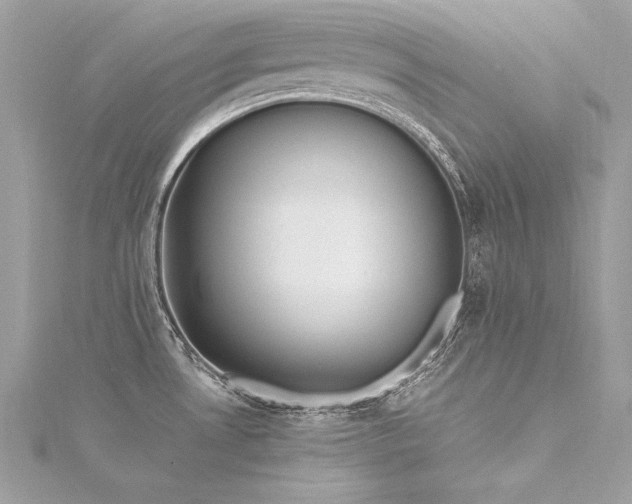 X0000116291530200911301408