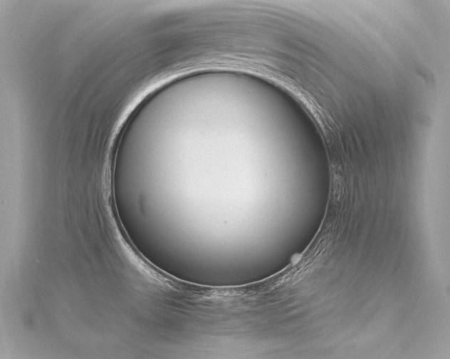 X0000116291531200911301408