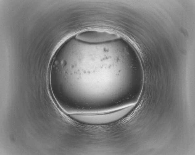 X0000116291533200911301408