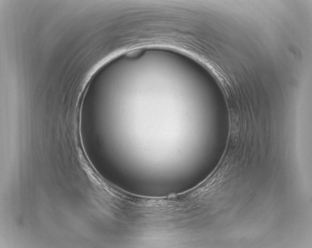 X0000116291534200911301408